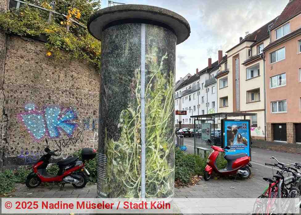 Kunstsäule „Diorama“ von Felicitas Fäßler | Foto: Nadine Müseler / Stadt Köln