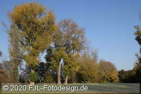 Bild-Nr.: 2002230