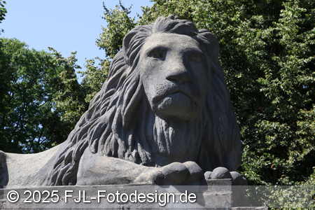 Schlosspark Köln-Stammheim am 19. Juni 2025